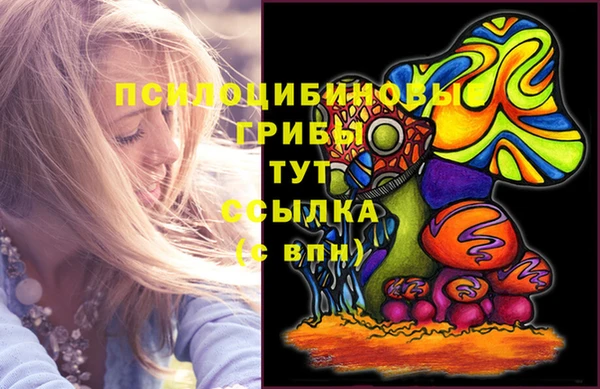 a pvp Алексеевка