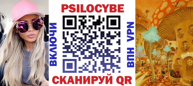 Псилоцибиновые грибы Psilocybe  где купить наркоту  Моздок 