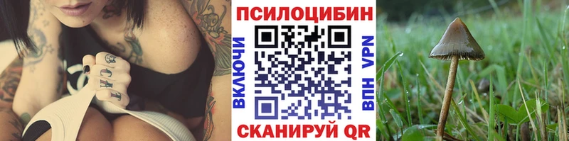 Галлюциногенные грибы MAGIC MUSHROOMS Моздок