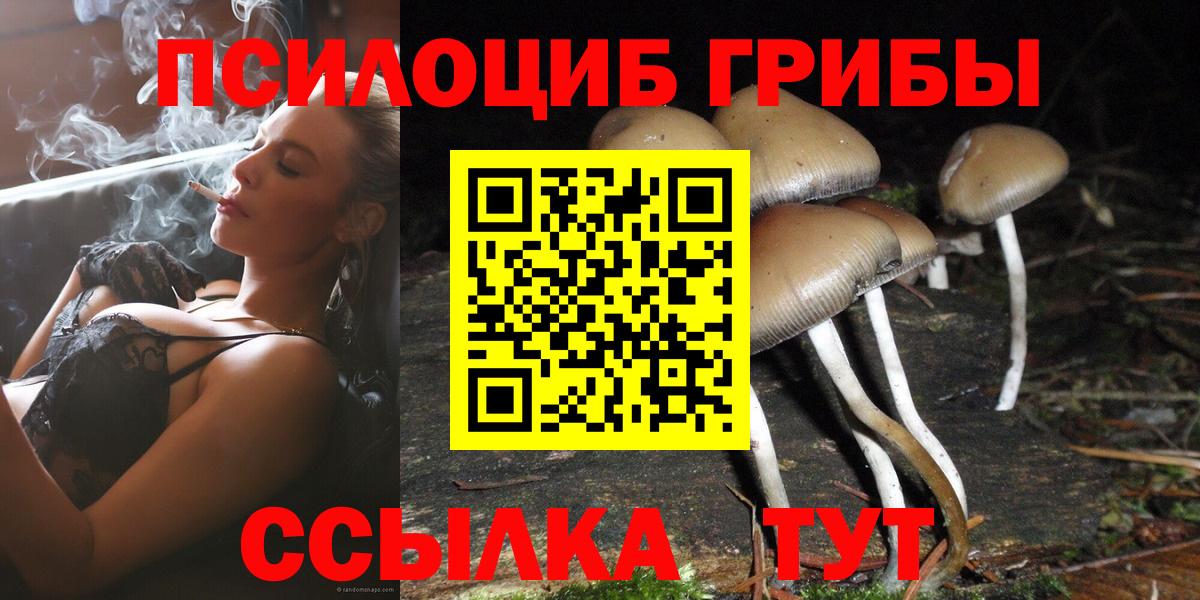 Псилоцибиновые грибы ЛСД Моздок
