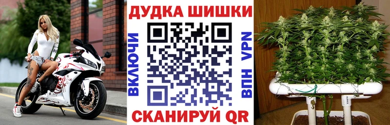 Конопля OG Kush  KRAKEN ссылка  Моздок 